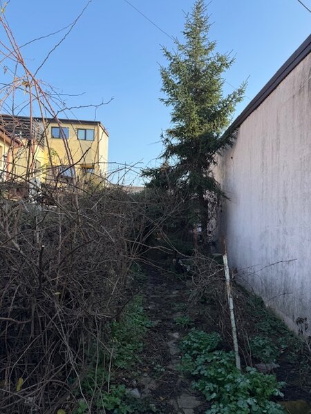 Chitila, sector 1, str. Neamului,